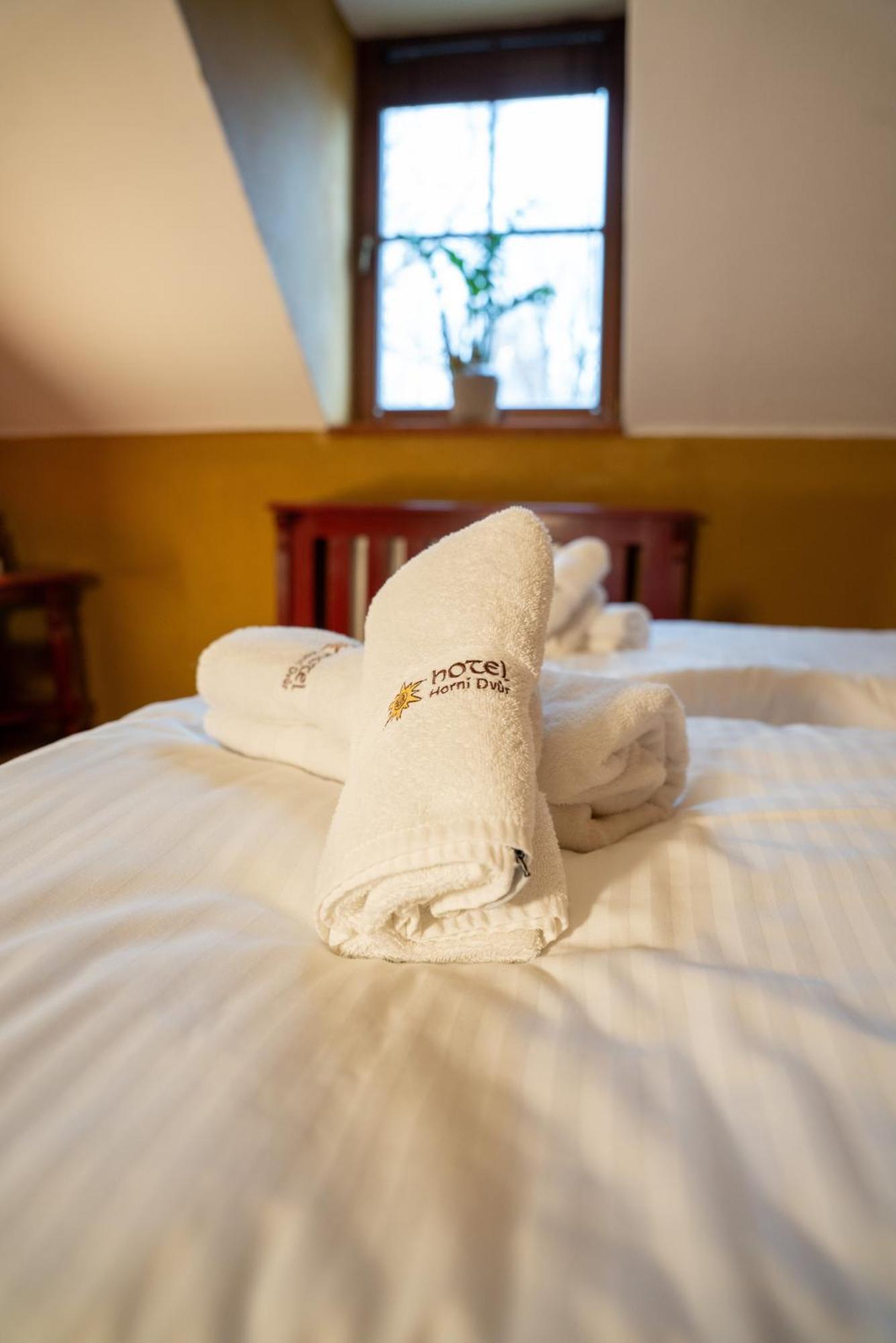 Hotel Horni Dvur Nove Mesto na Morave Exterior foto